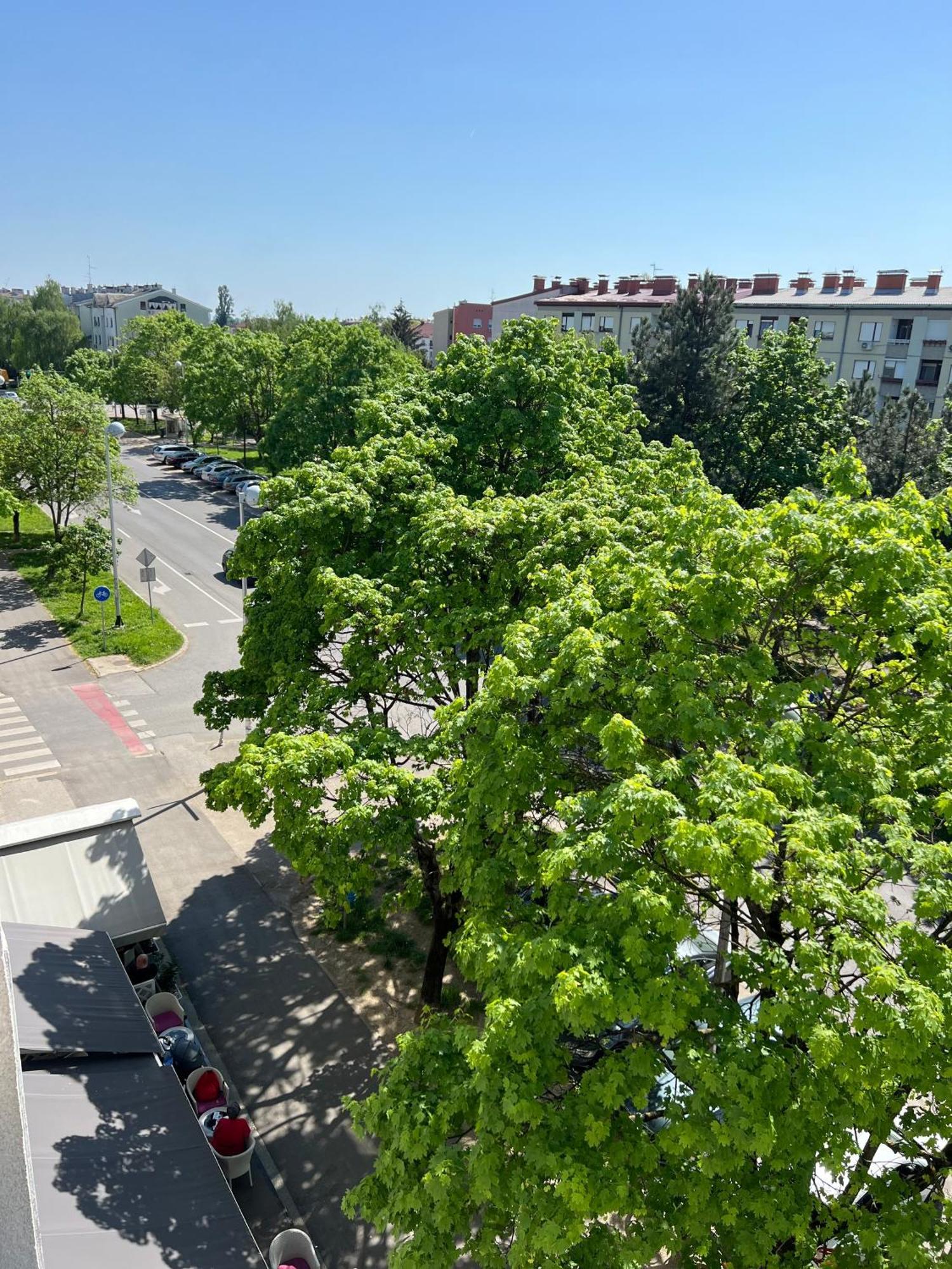 Rita Apartment-Free Parking&Wifi Загреб Экстерьер фото